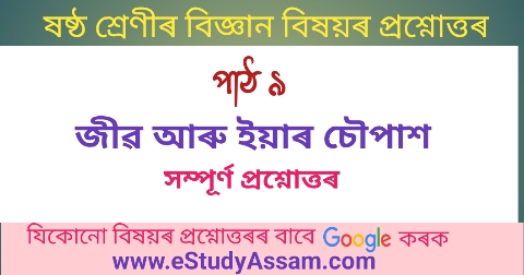 Class 6 Science lesson 9