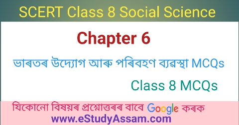 Class 8 social science chapter 6 MCQs